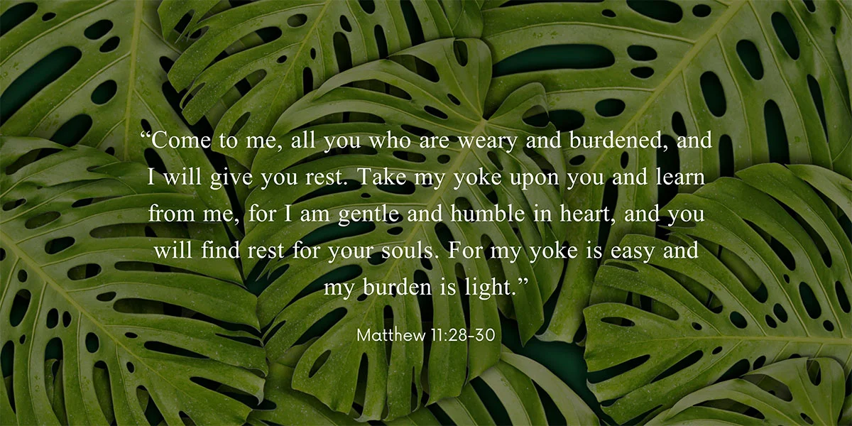 matthew chapter 11 verse 28 29 and 30